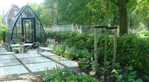 Home Professionele hovenier in de omgeving van Nieuwegein transformeert tuin tot groen paradijs met expert design
