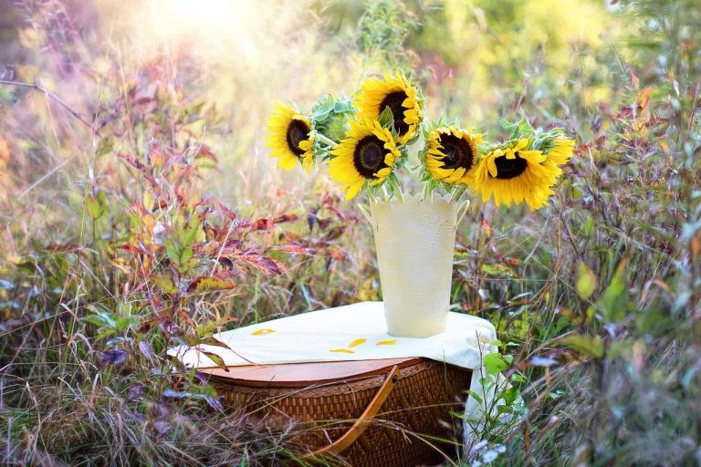 Home Kleurrijke bloemenboeketten voor online bloemen bestellen, met verse bloemen en seizoensgebonden variëteiten.
